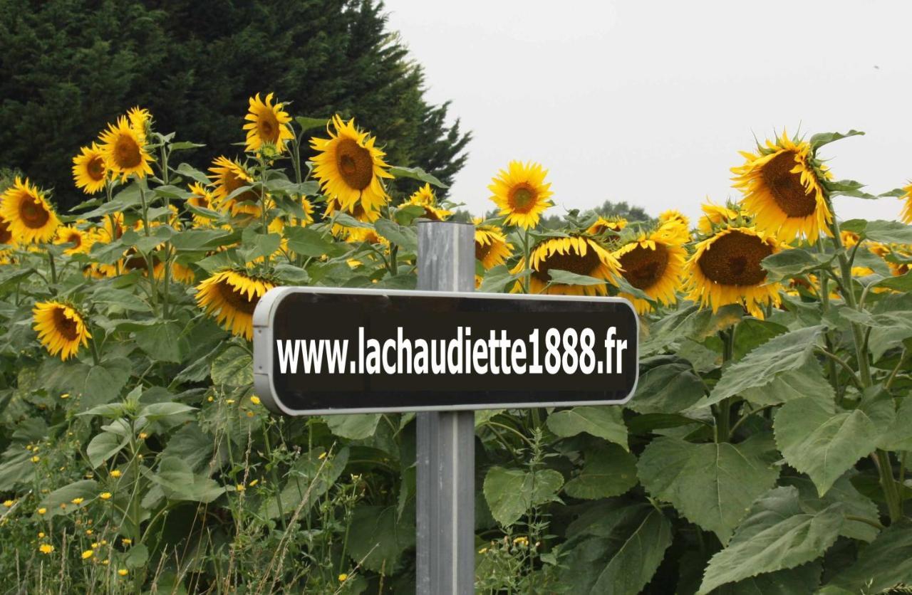 La Chaudiette 1888 Nantillé エクステリア 写真